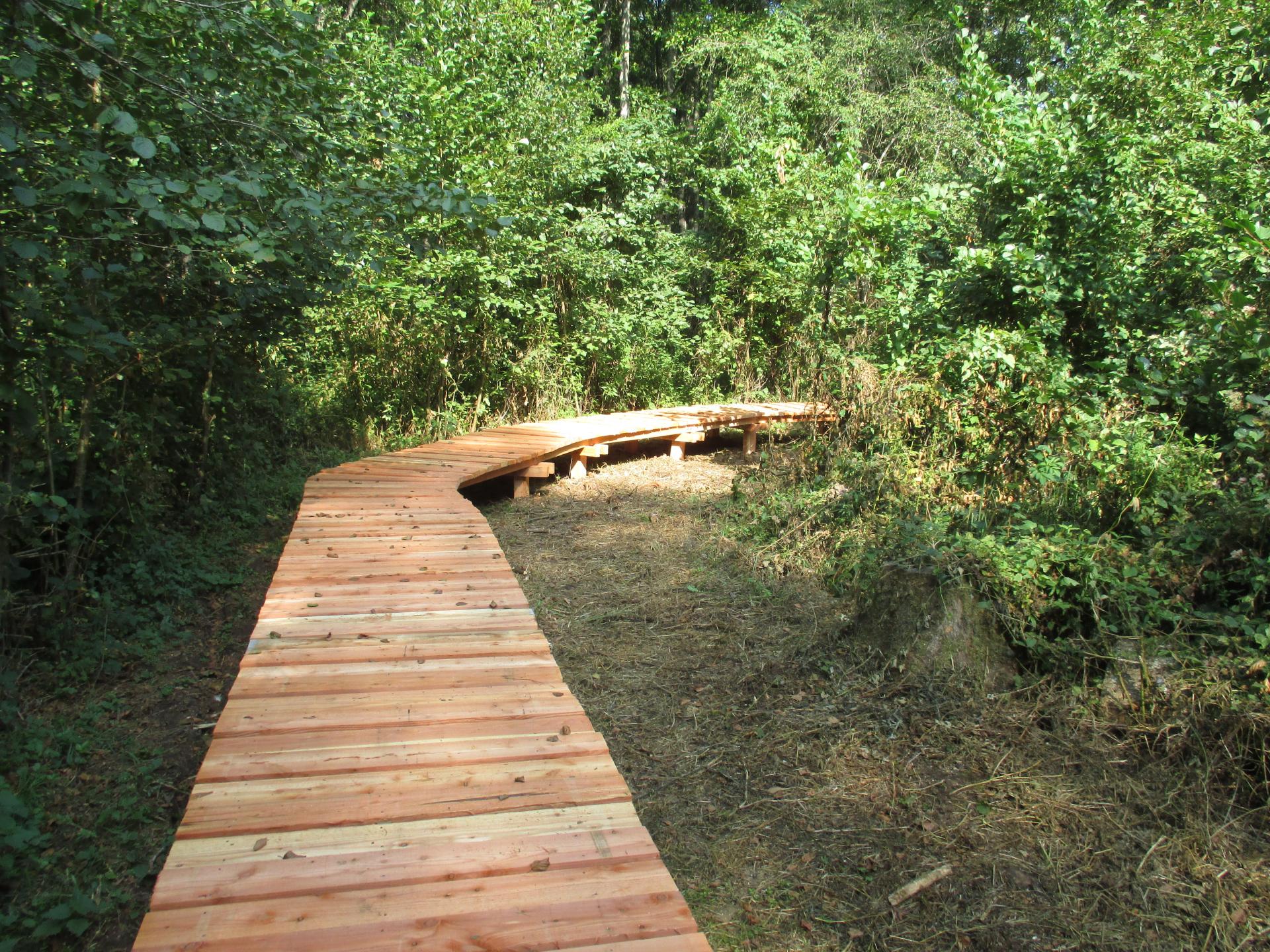 La passerelle qui mène au marais vers Vanneau